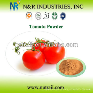 100% de poudre de tomate 60-200mesh